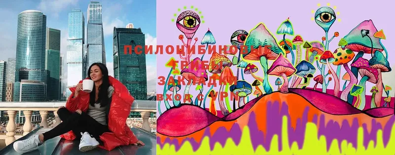 Псилоцибиновые грибы Magic Shrooms  кракен зеркало  Катайск 